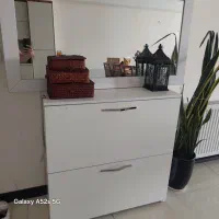 جاکفشی با ایینه