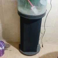 آکواریوم ماهیران شیشه خم با پایه|ماهی|ارومیه, |دیوار