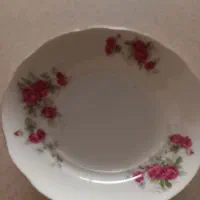 بشقاب پلوخوری وخورش خوری گلسرخی|ظروف سرو و پذیرایی|محمدشهر, همایون ویلا|دیوار