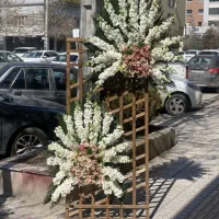 تاج گل مراسم ترحیم و تبریک راز گل|گل مصنوعی|مشهد, آزادشهر|دیوار