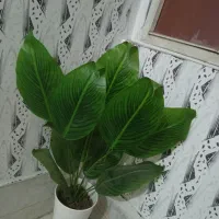 گل مصنوعی|گل مصنوعی|ورامین, ورامین|دیوار