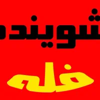 شوینده های فله ای