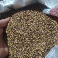 کنجد اصل محلی