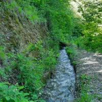 باغچه-آماده-کنار-جنگل-شموشک-علیا-430-متر