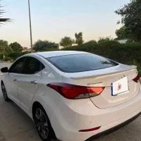 النترا ۲۰۱۴فول خلیج