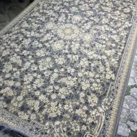 فرش۶متری ۱۲۰۰شانه نو|فرش|قم, قلعه کامکار|دیوار