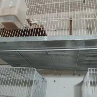 قفس بزرگ 60 سانت مناسب عروس . کتوله و گرینچک|لوازم جانبی حیوانات|بیرجند, |دیوار