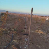 تولیدی و نصب فنس وپایه فنس|عمدهفروشی|شاهدشهر, |دیوار