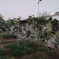 گلخانه|فروش دفتر صنعتی، کشاورزی، تجاری|خرمآباد, |دیوار