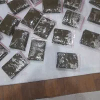 فروش سبزی خورشتی پلوی ماهی و آشی  خانگی|خوردنی و آشامیدنی|باغ ملک, |دیوار