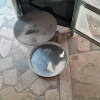 فر گازی|اجاق گاز و لوازم برقی پختوپز|بندر انزلی, مسکن مهر|دیوار