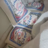 فروش برنج طارم هاشمی درجه یک اعلا شمال