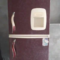 یخچال ۱۳ فوت سالم