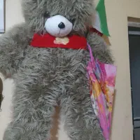 خرس اسباب بازی بازی