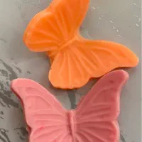 صابون کلاس اول|آرایشی، بهداشتی، درمانی|قم, انسجام|دیوار