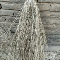 جارو
