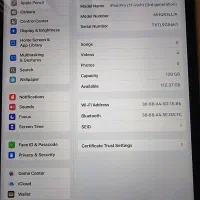 آی پد پرو ipad poro باطری 100%|تبلت|مشهد, پنجتن|دیوار