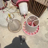 آبخوری ودانه خوری