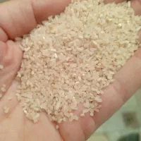 برنج نیمدانه وسرلاشه  هاشمی۱۴۰۴ خوش عطرواعلا|خوردنی و آشامیدنی|الوند, |دیوار