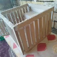 لانه پرنده|پرنده|آبدانان, |دیوار