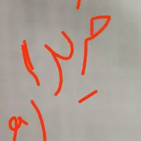 طلادرحدنو بویین زهرافقط