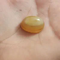 سنگ باباقوری معدنی (سه پوست)|جواهرات|زابل, |دیوار