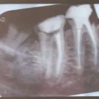 اجاره اتاق مطب