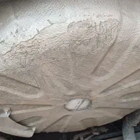 سمند ۸۲ دوگانه|خودرو سواری و وانت|تبریز, |دیوار