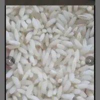 ۱۵کیلو برنج چمپای سرله