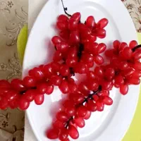 میوه مصنوعی|صنایع دستی و سایر لوازم تزئینی|رشت, لاکانی|دیوار