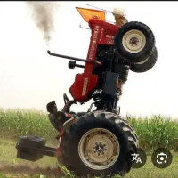 شخم زمین با گاو آهن