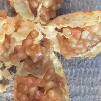 محصول انار|فعالیت داوطلبانه|کرمان, |دیوار