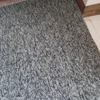 موکت (بابل موکت) طوسی مشکی|موکت|کرج, کوی زنبق|دیوار