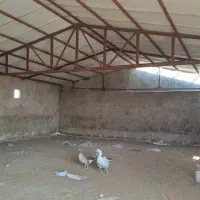 سوله-200-متری