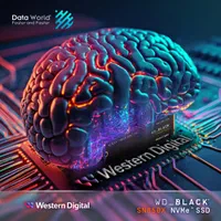 اس س دی SSD NVMe WD-BLACK SN850X 4TB / 2TB