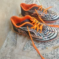 یک جفت کفش چمن|کیف، کفش، کمربند|آبدانان, |دیوار