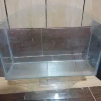 فروش دوتا اکواریوم|ماهی|سیرجان, |دیوار