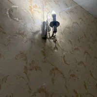 تعدادی لوازم قدیمی و‌انتیک سالم هستن|کلکسیون اشیاء عتیقه|تهران, قیطریه|دیوار