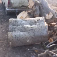 قطع ‌خرید چوب باغی|خدمات باغبانی و درختکاری|گلوگاه بابل (گلیا), |دیوار