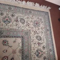 فرش نگین مشهد ۱۲ متری. ۱۲۰۰شانه|فرش|تهران, شادمان|دیوار
