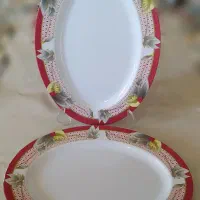 دیس برنج خوری