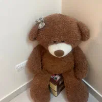 خرس قهوه ای