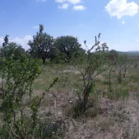 ۳.۵ هکتار باغ و زمین دارای سند و بنچاق