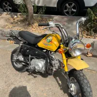 مینی کویر ۷۰ cc درحد صفر