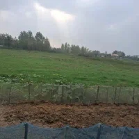زمین داخل طرح