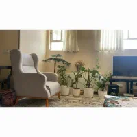 سوئیت دو خوابه تمیز و مرتب