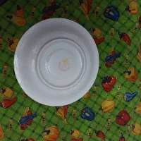 سرویس چینی مارک طوس چینی طرح آلمان|ظروف سرو و پذیرایی|مشهد, هفت تیر (حافظ)|دیوار