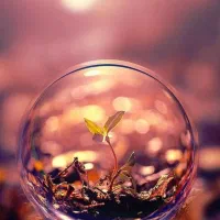 نظافت ساختمان صداقت|خدمات نظافت|همدان, |دیوار