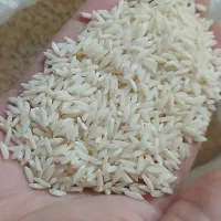 برنج محلی علی کاظمی درجه یک