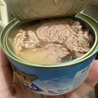 فروش خوار و بار